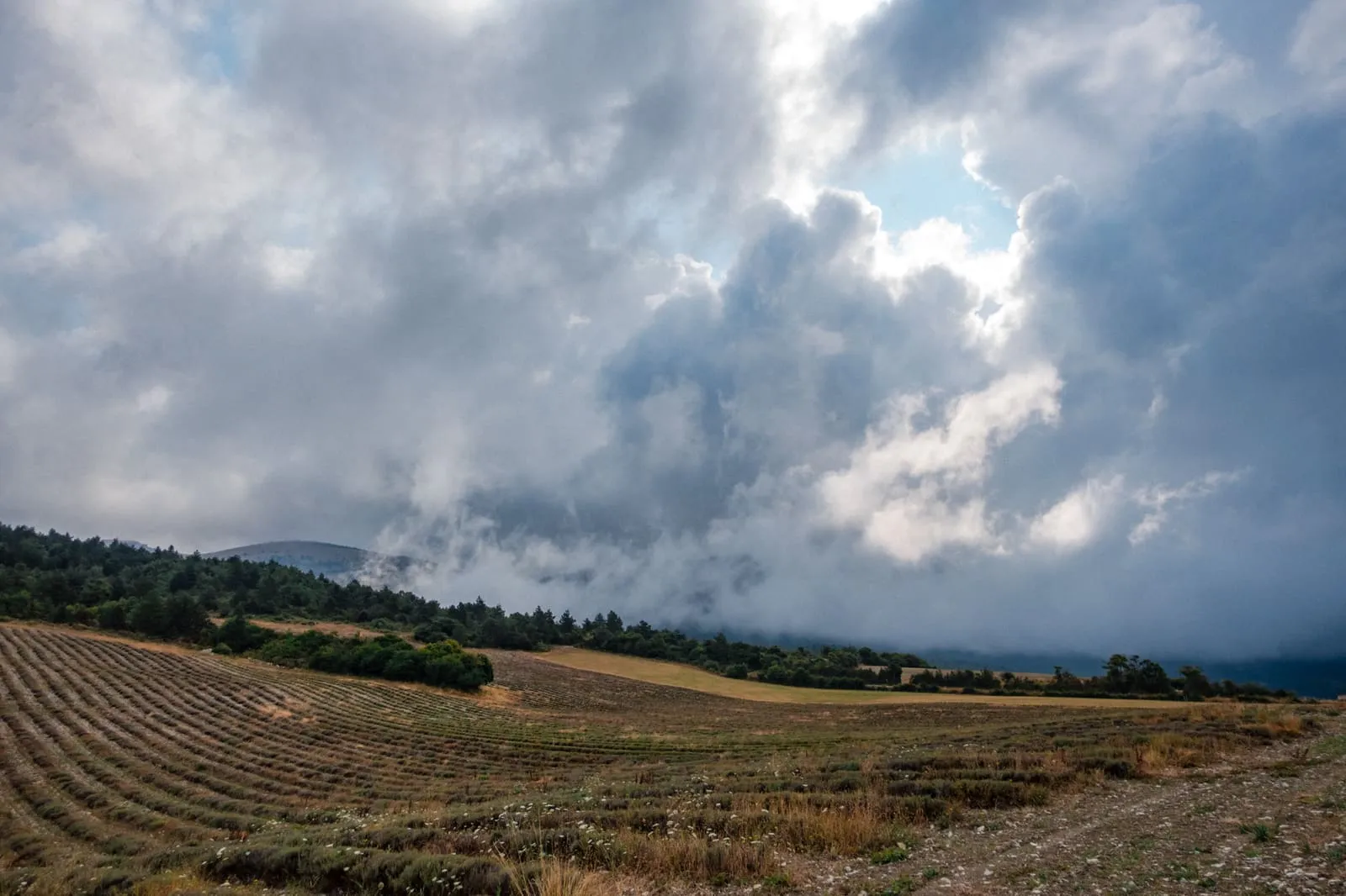Été 2026 : La Drôme provençale, photo 3