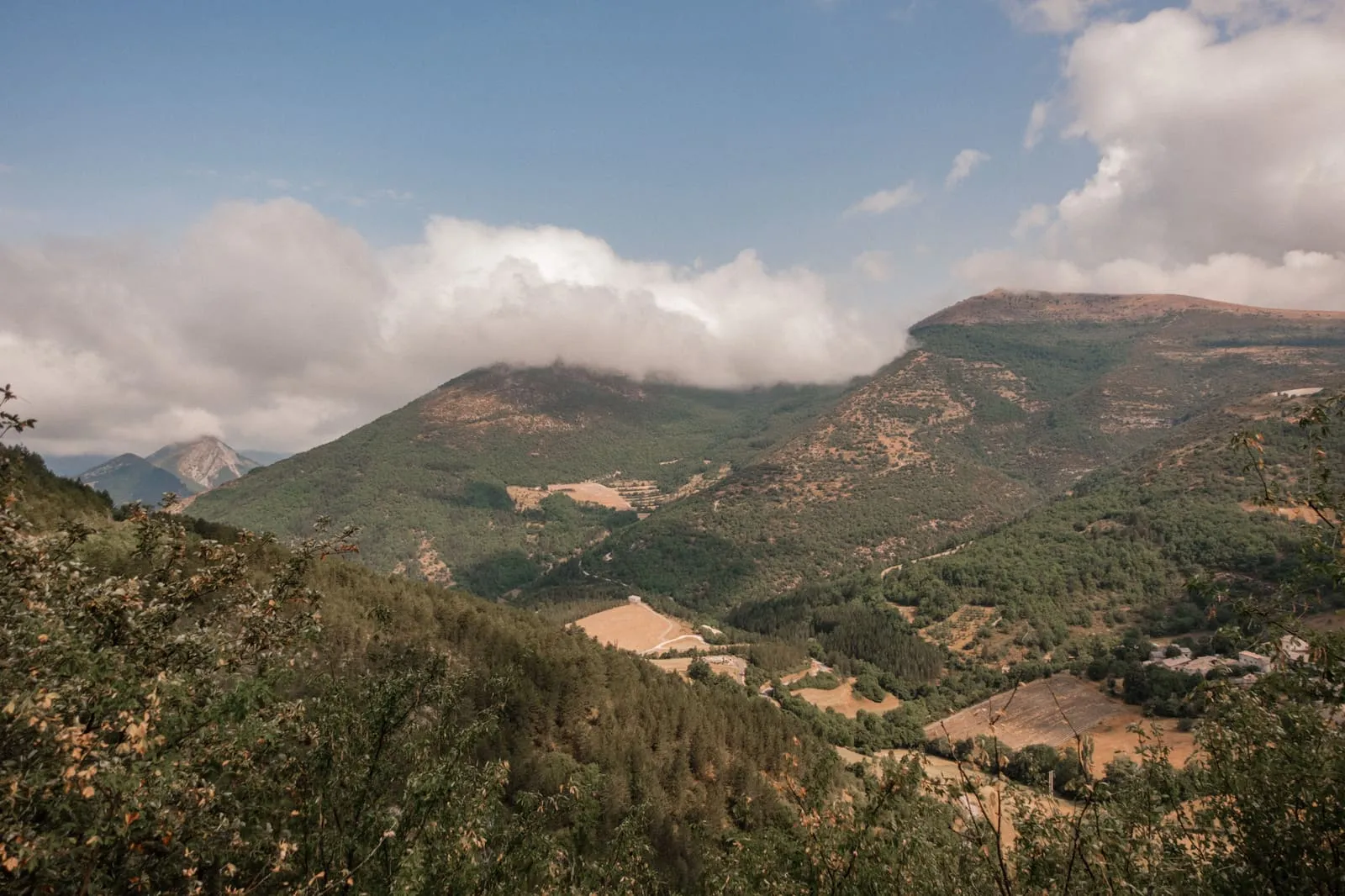 Été 2026 : La Drôme provençale, photo 4