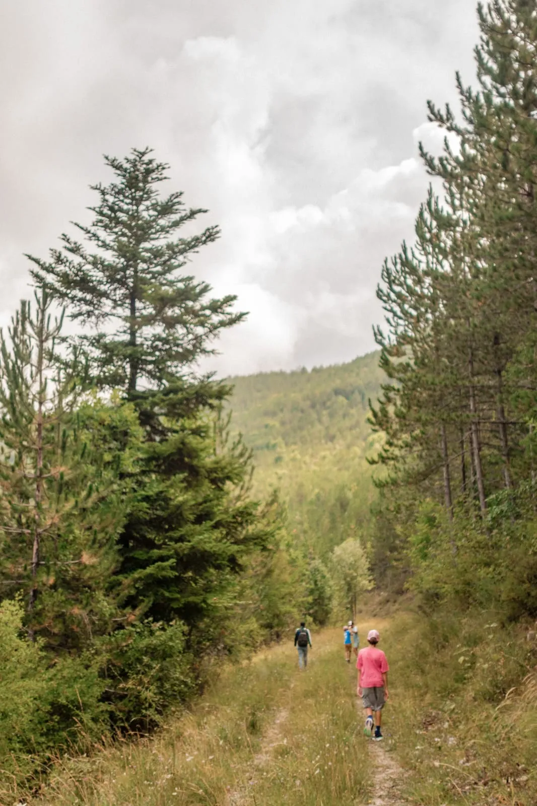Été 2026 : La Drôme provençale, photo 6