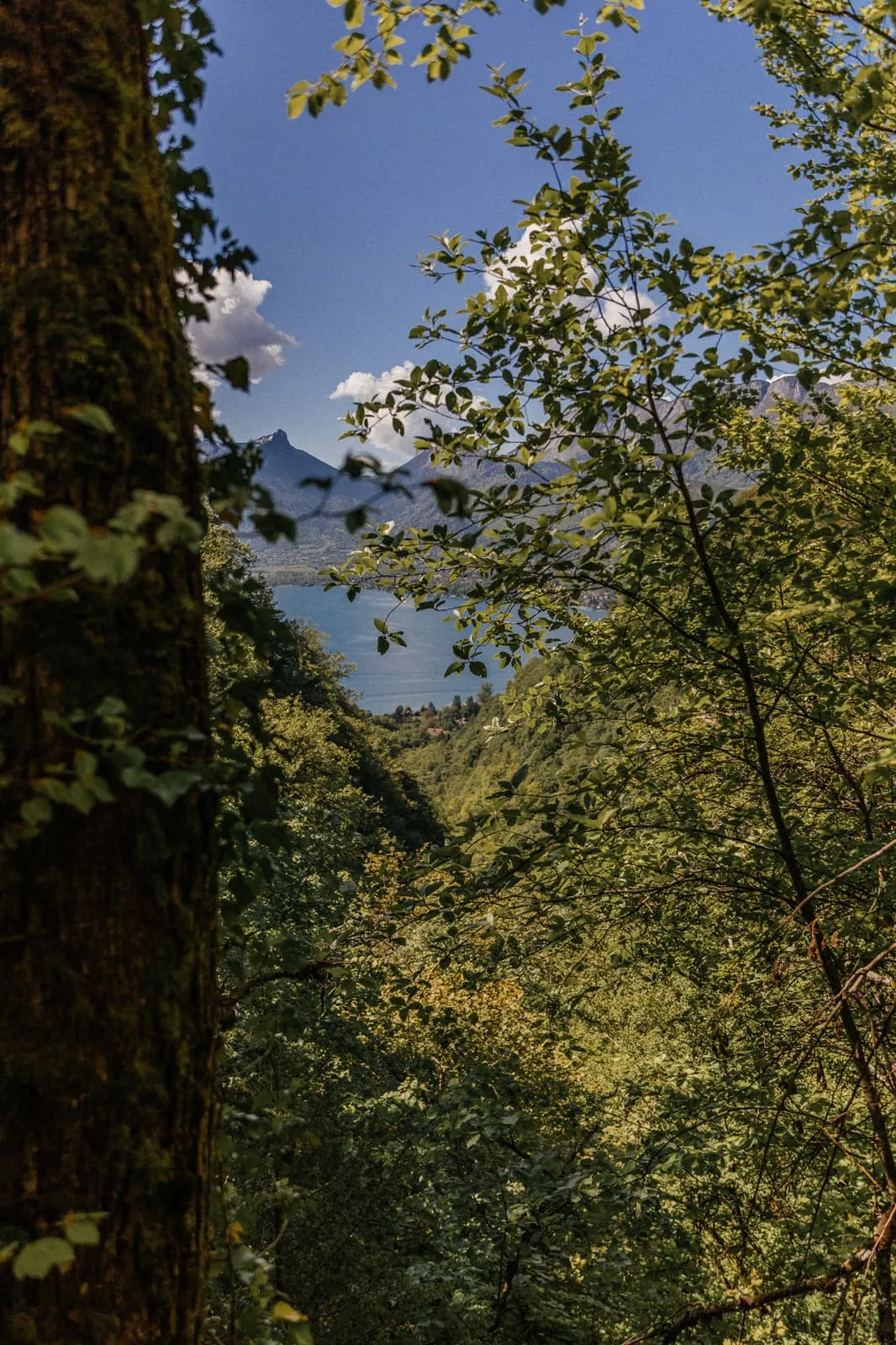 Annecy 2024, photo 7