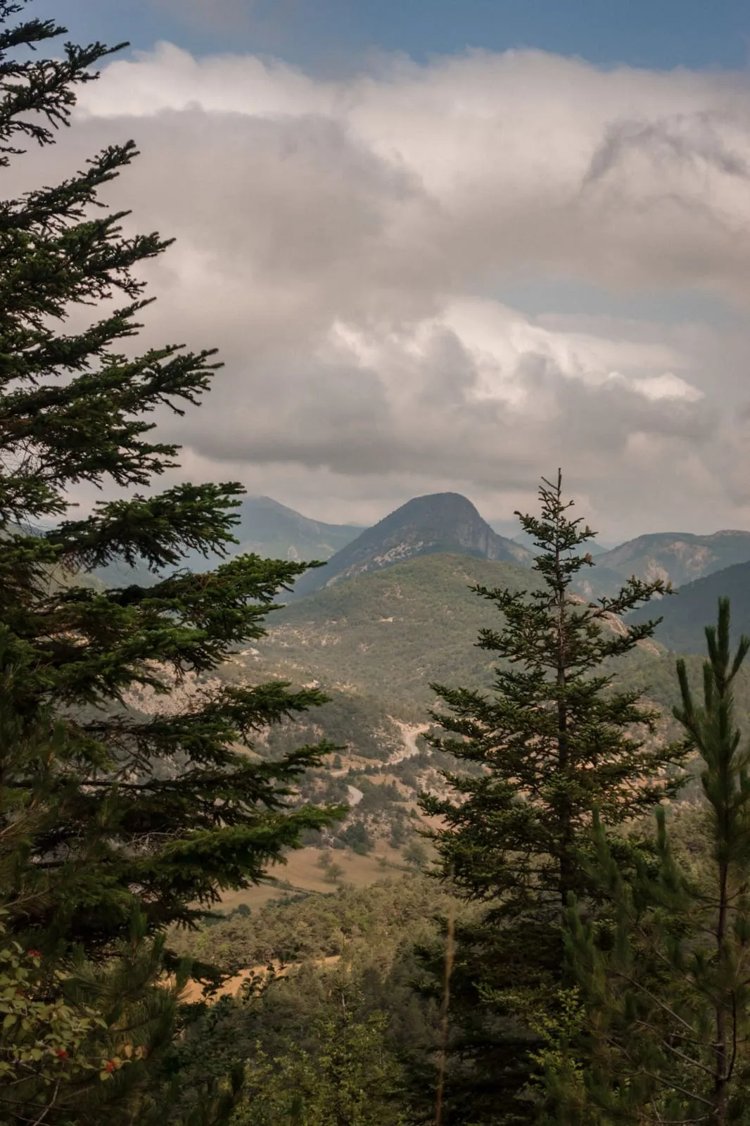 Été 2026 : La Drôme provençale, photo 7