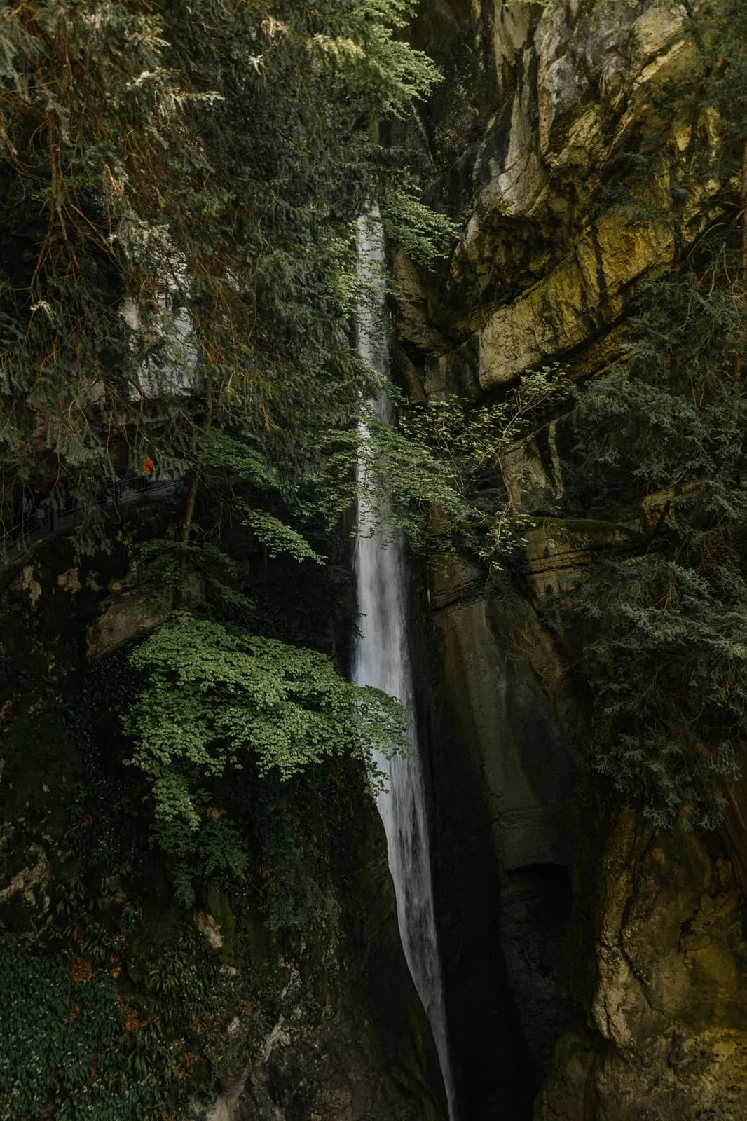 Annecy 2024, photo 11