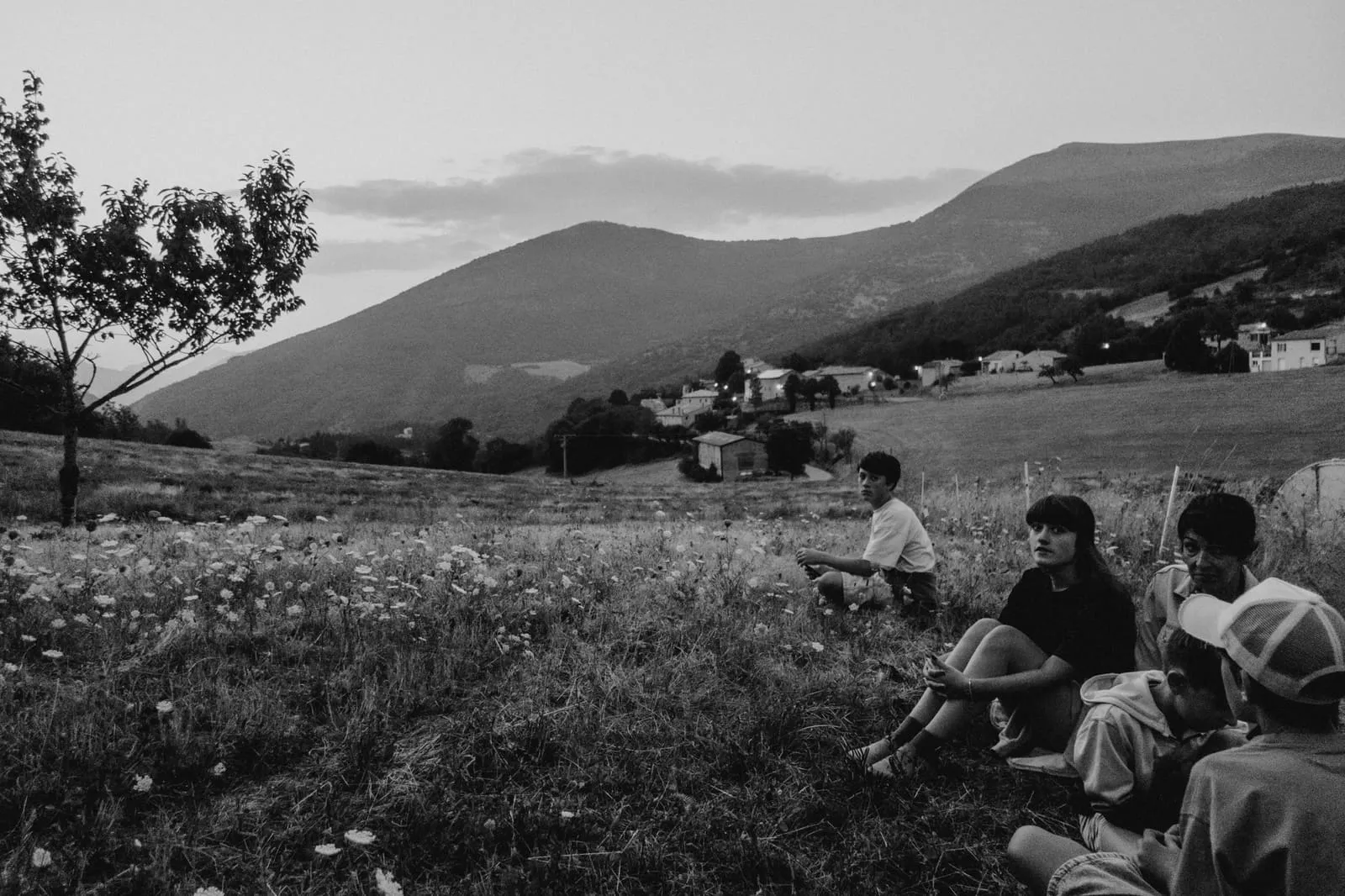 Été 2026 : La Drôme provençale, photo 15