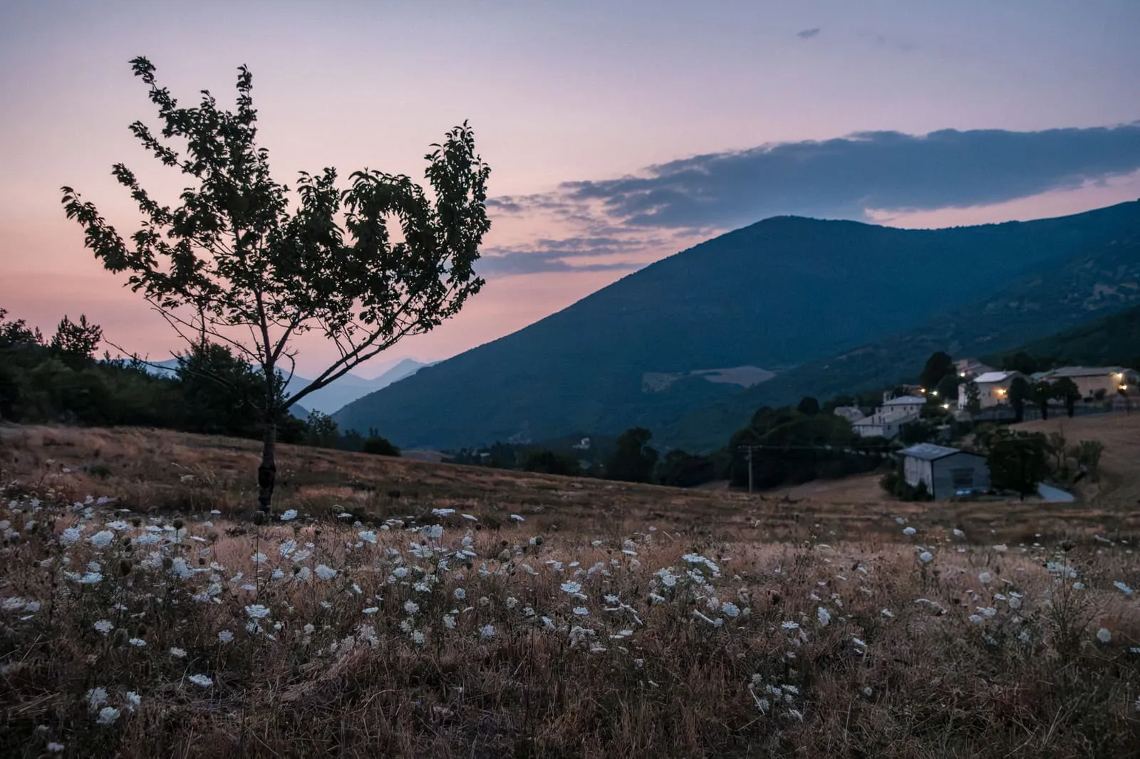 Été 2026 : La Drôme provençale, photo 17