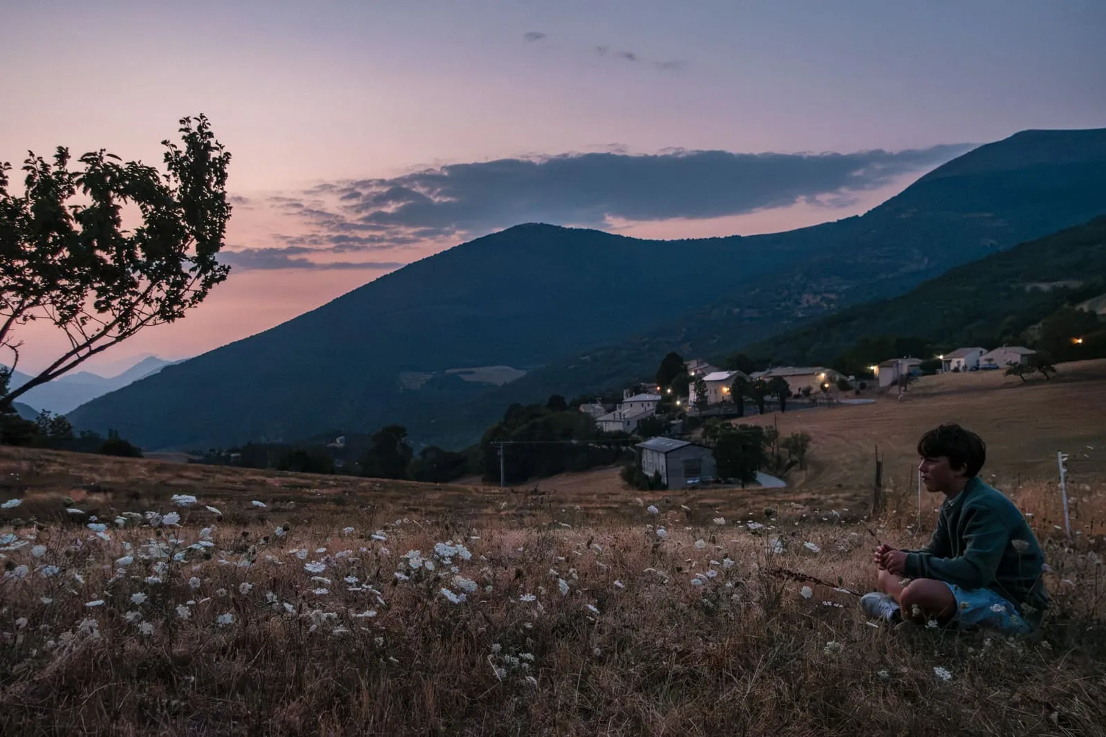 Été 2026 : La Drôme provençale, photo 18