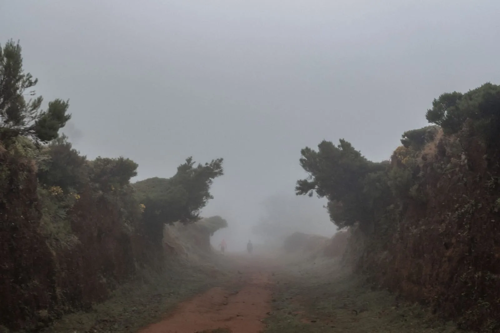 Été 2026 : Madère, photo 28