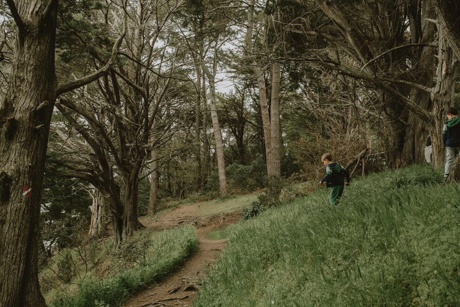Bretagne 2023, photo 34