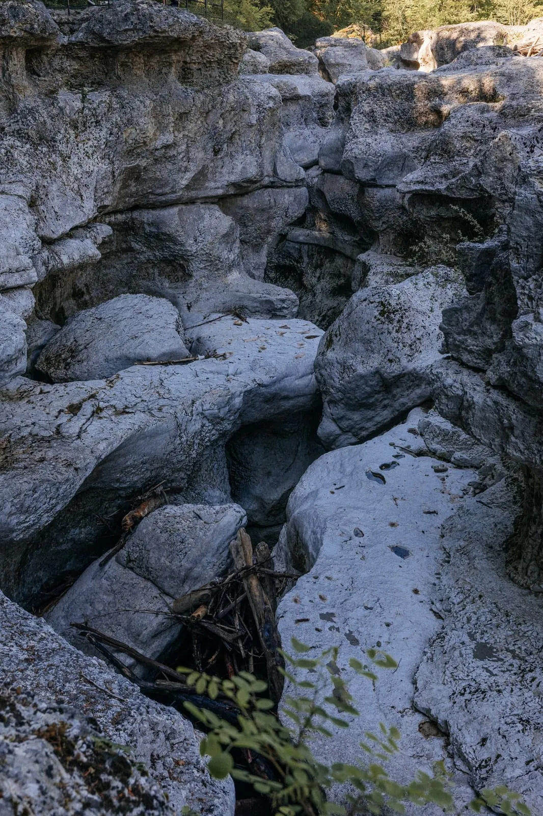 Annecy 2024, photo 39
