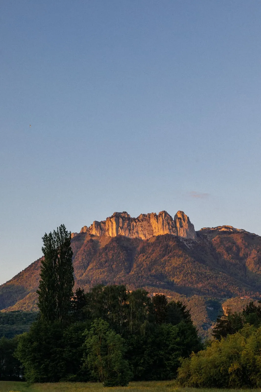 Annecy 2024, photo 41