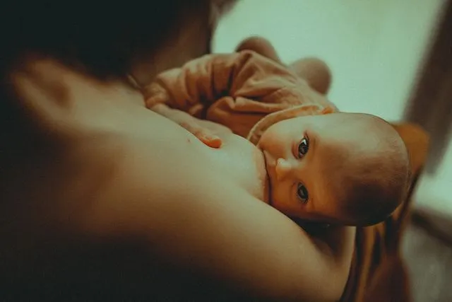 Bébé regardant l'objectif pendant la tétée, en studio
