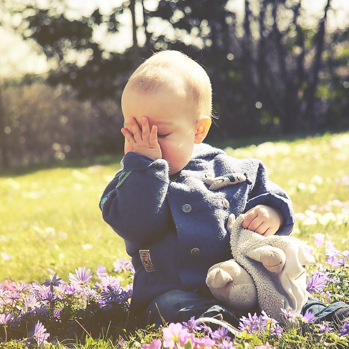 A la découverte du printemps