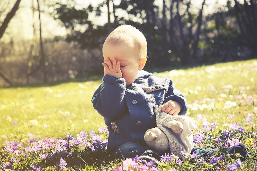 A la découverte du printemps