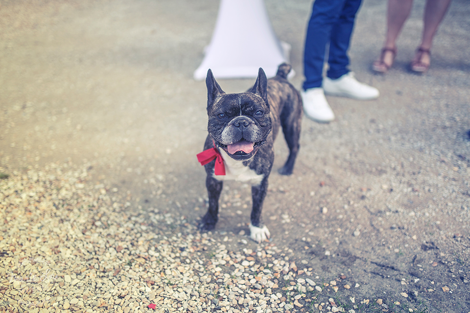 photographe mariage troyes